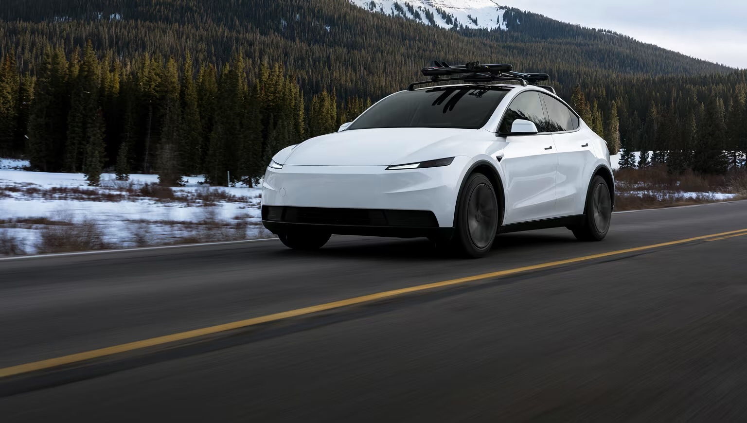 Model Y